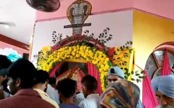 ਇਛਾਧਾਰੀ ਨਾਗ ਮੰਦਰ ‘ਚ ਮਨਾਈ ਗਈ ਨਾਗ ਪੰਚਮੀ, ਦੂਰੋਂ ਦੂਰੋਂ ਪਹੁੰਚੇ ਸ਼ਰਧਾਲੂ