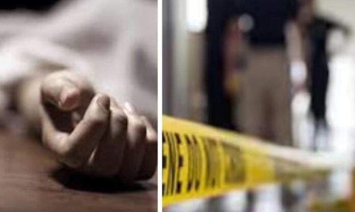 WhatsApp Image 2025-12-10 at 12.17.10 PM (1)