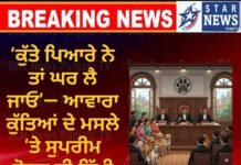 ‘ਕੁੱਤੇ ਪਿਆਰੇ ਨੇ ਤਾਂ ਘਰ ਲੈ ਜਾਓ’— ਆਵਾਰਾ ਕੁੱਤਿਆਂ ਦੇ ਮਸਲੇ ‘ਤੇ ਸੁਪਰੀਮ ਕੋਰਟ ਦੀ ਤਿੱਖੀ ਟਿੱਪਣੀ