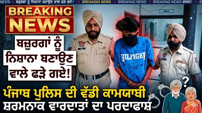 Gemini_Generated_Image_ibitskibitskibit